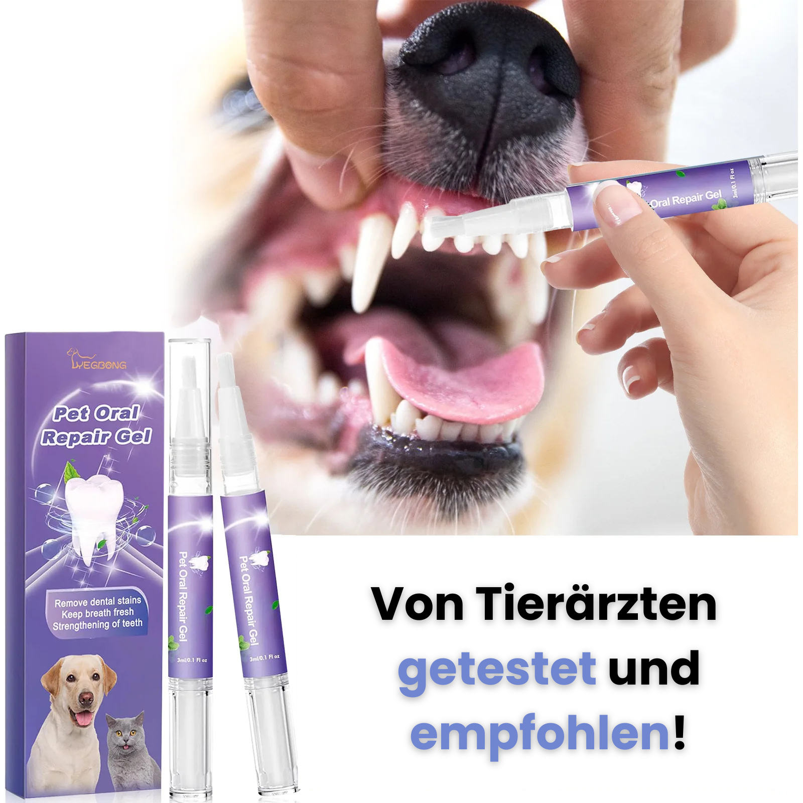 ZahnWunder™ | für Hunde