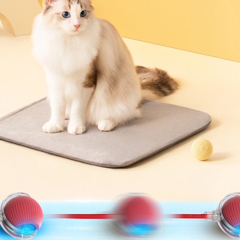 AutoPet Energizer™ | Smarter, Automatisch Rollender Tierball