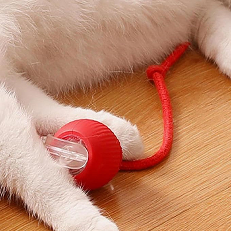 AutoPet Energizer™ | Smarter, Automatisch Rollender Tierball