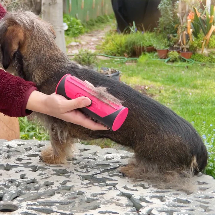 PetLux™ | Haustierbürste