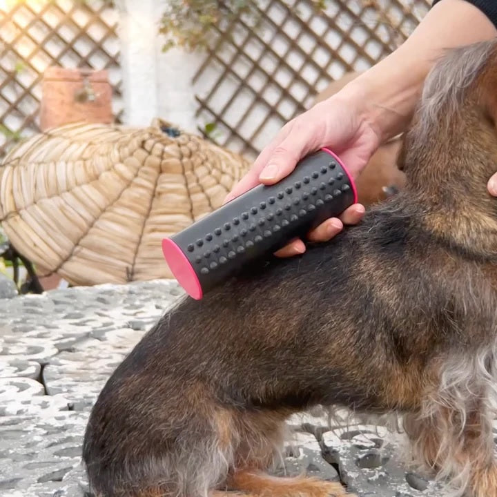 PetLux™ | Haustierbürste