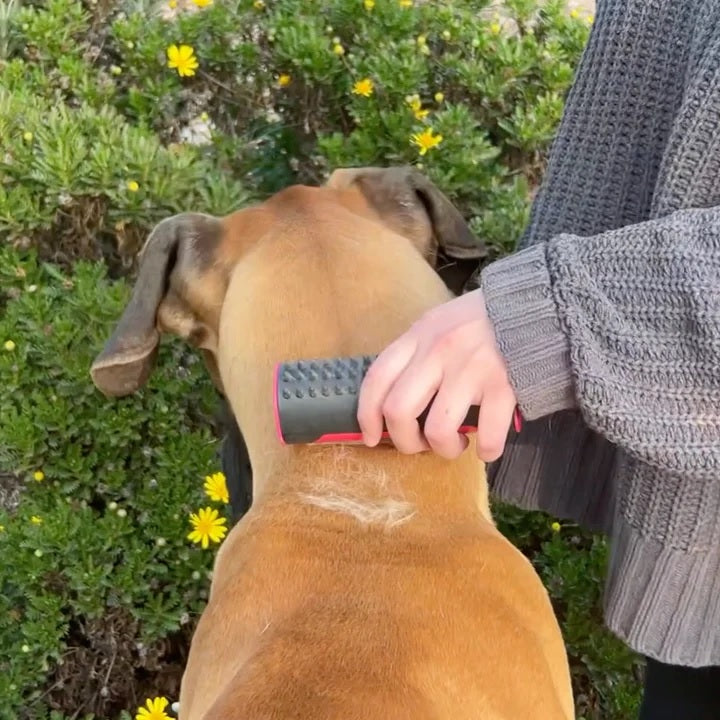 PetLux™ | Haustierbürste