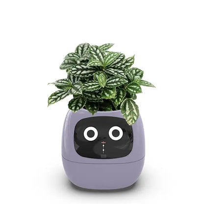 PlantBuddy™ |Smarter Pflanztopf