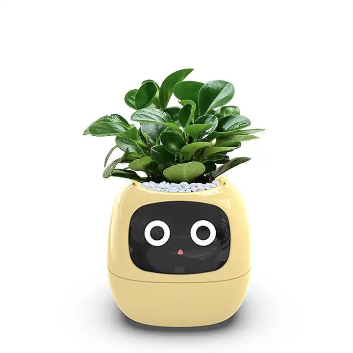 PlantBuddy™ |Smarter Pflanztopf