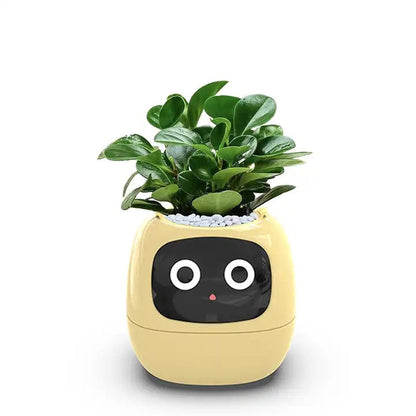 PlantBuddy™ |Smarter Pflanztopf
