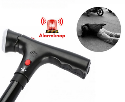 WanderKomfort™ | Gehstock