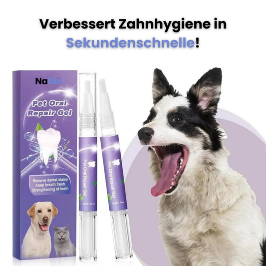 ZahnWunder™ | für Hunde