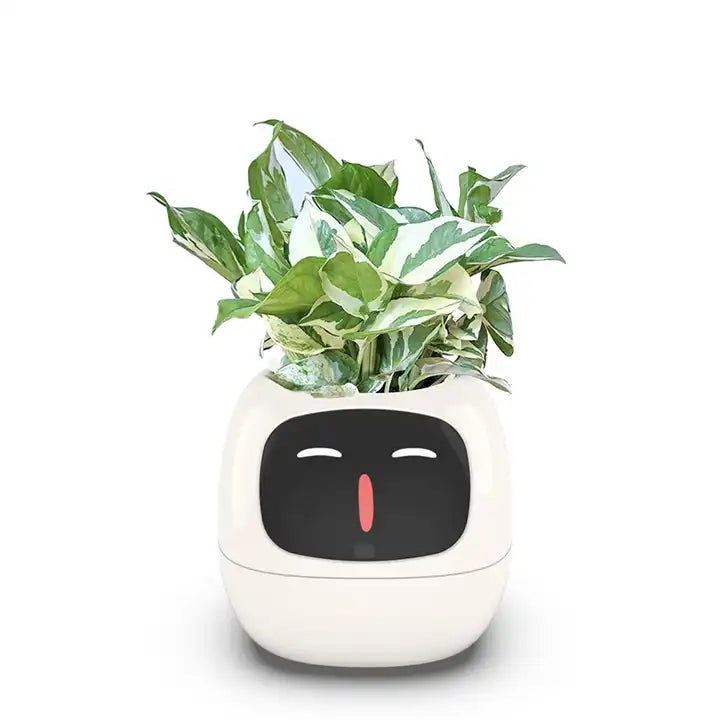PlantBuddy™ |Smarter Pflanztopf