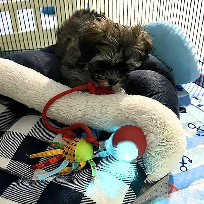 AutoPet Energizer™ | Smarter, Automatisch Rollender Tierball