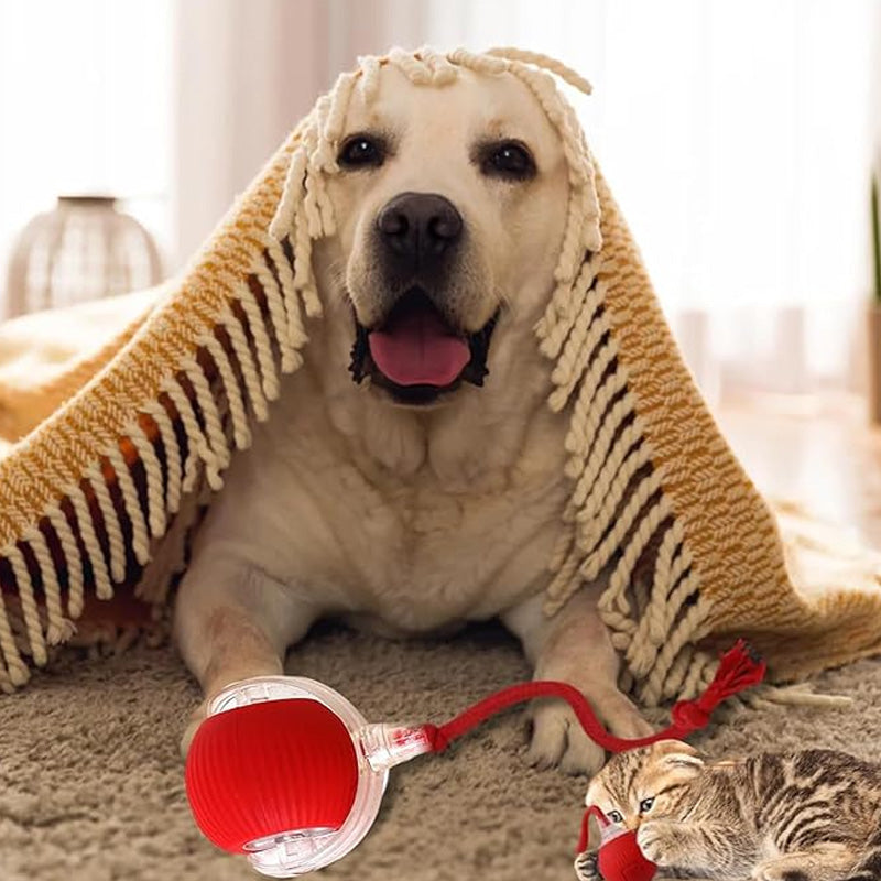 AutoPet Energizer™ | Smarter, Automatisch Rollender Tierball